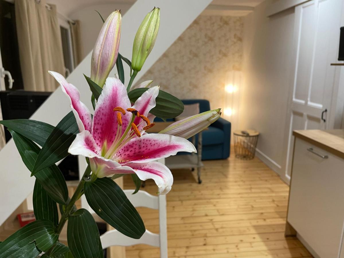 Houlgate Appartement La Briarde 외부 사진